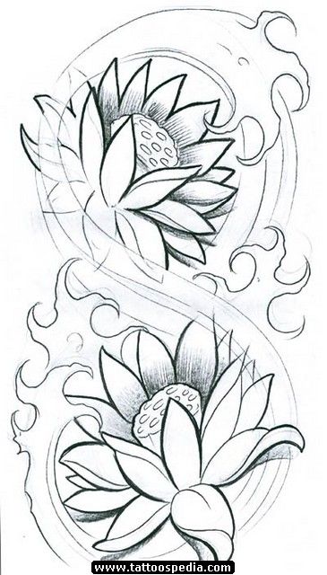 365x640 Rat A Tat Tat Flower Tattoos, Tattoo - Water Lily Drawing Outline