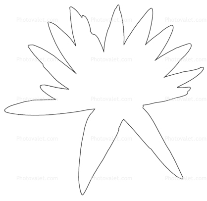 418x406 Water Lily Outline, Flower, Line Drawing, Shape Images - Water Lily Drawing Outline