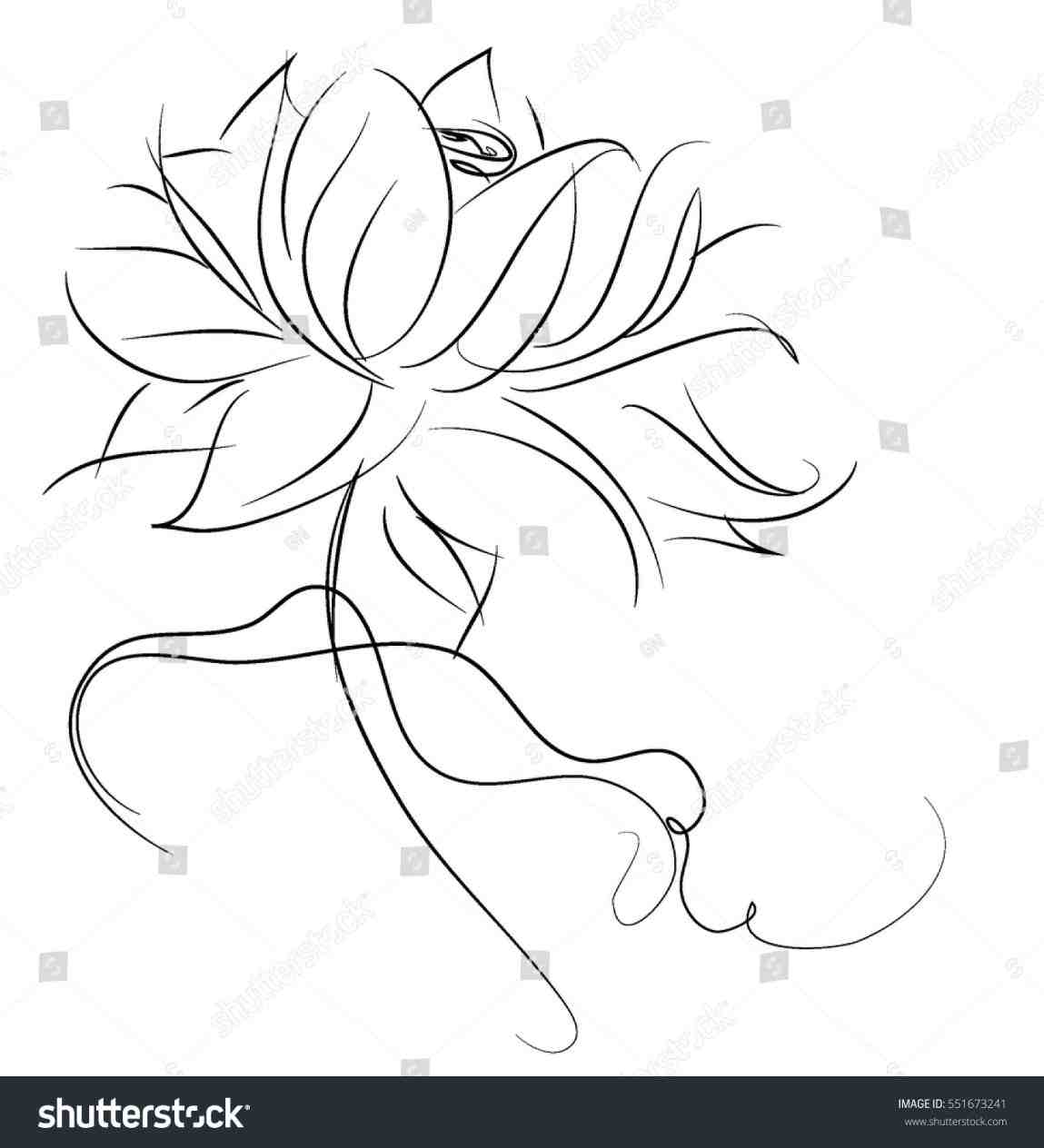 1149x1264 Vector Flower Stock Outline Black Silhouette Flower Simple Water - Water Lily Drawing Outline