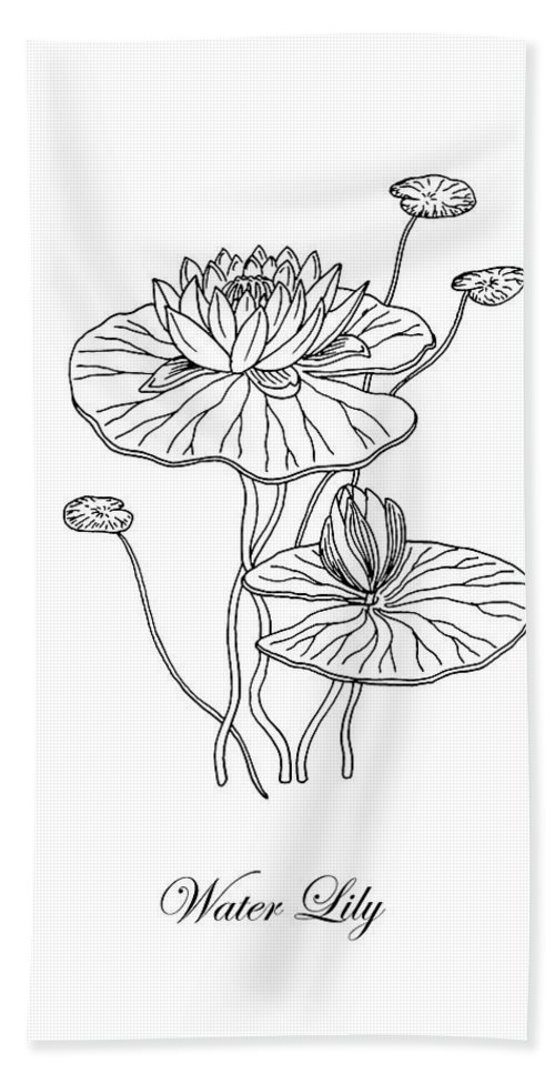 500x967 Water Lily Flower Botanical Drawing Bath Towel For Sale - Water Lily Flower Drawing