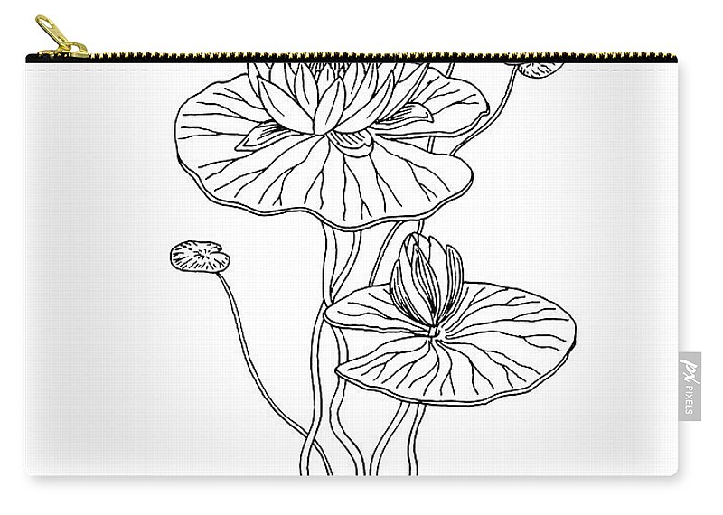 800x570 water lily flower botanical drawing carry all pouch for sale - Water Lily Flower Drawing