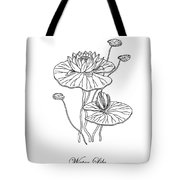 180x180 Water Lily Flower Botanical Drawing Drawing - Water Lily Flower Drawing