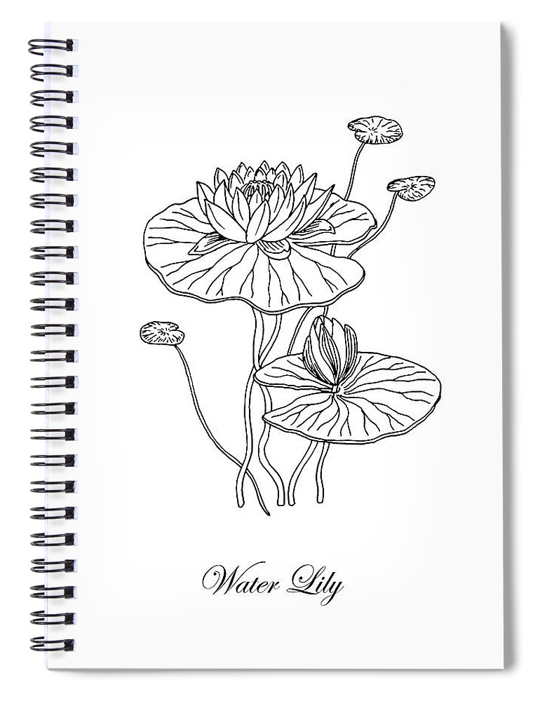 770x1000 Water Lily Flower Botanical Drawing Spiral Notebook For Sale - Water Lily Flower Drawing