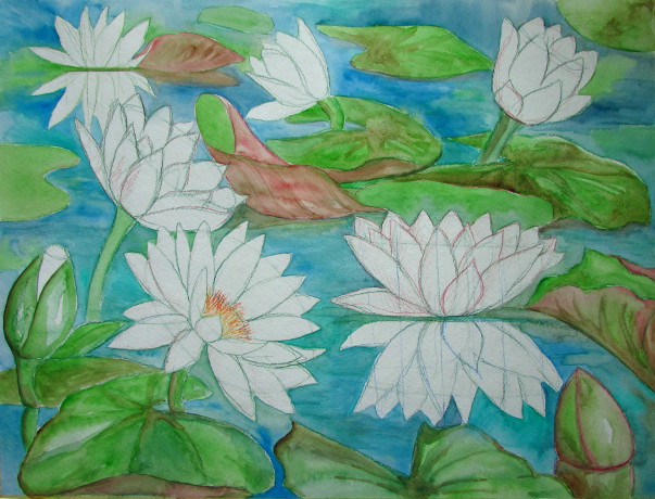 603x460 watercolor water lilies painting - Water Lily Flower Drawing