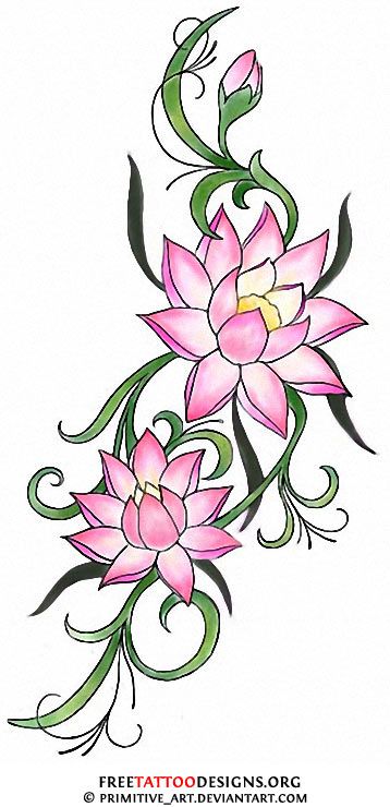 358x740 Go Back Gt Gallery For Gt Purple Water Lily Meaning Japanese - Water Lily Flower Drawing