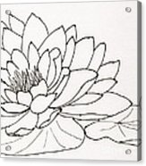 163x186 Water Lily Line Drawing Canvas Print Canvas Art - Water Lily Line Drawing