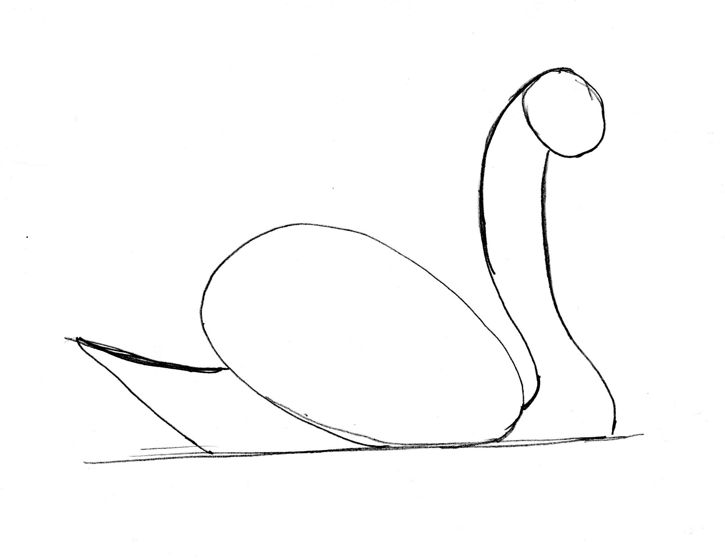 2333x1796 Swan Drawing Step - Water Line Drawing