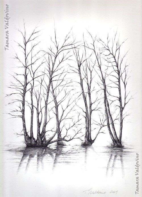 500x693 the reflection drawing - Water Reflection Drawing