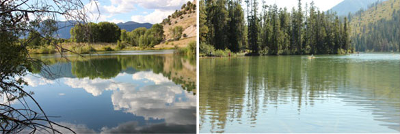 585x197 check out these secrets for painting convincing water reflections - Water Reflection Drawing