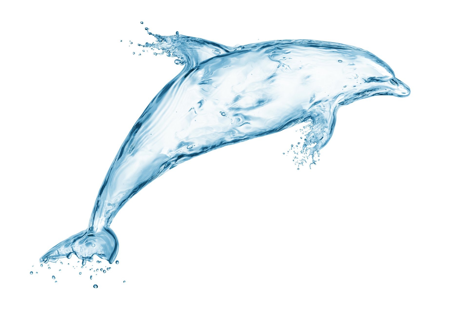 1920x1280 water drops splash drawing creativity art dolphin spray picture - Water Spray Drawing