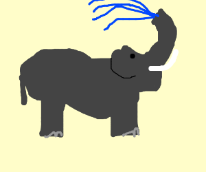 300x250 Collection Of 'elephant Spraying Water Drawing' Download More - Water Spray Drawing