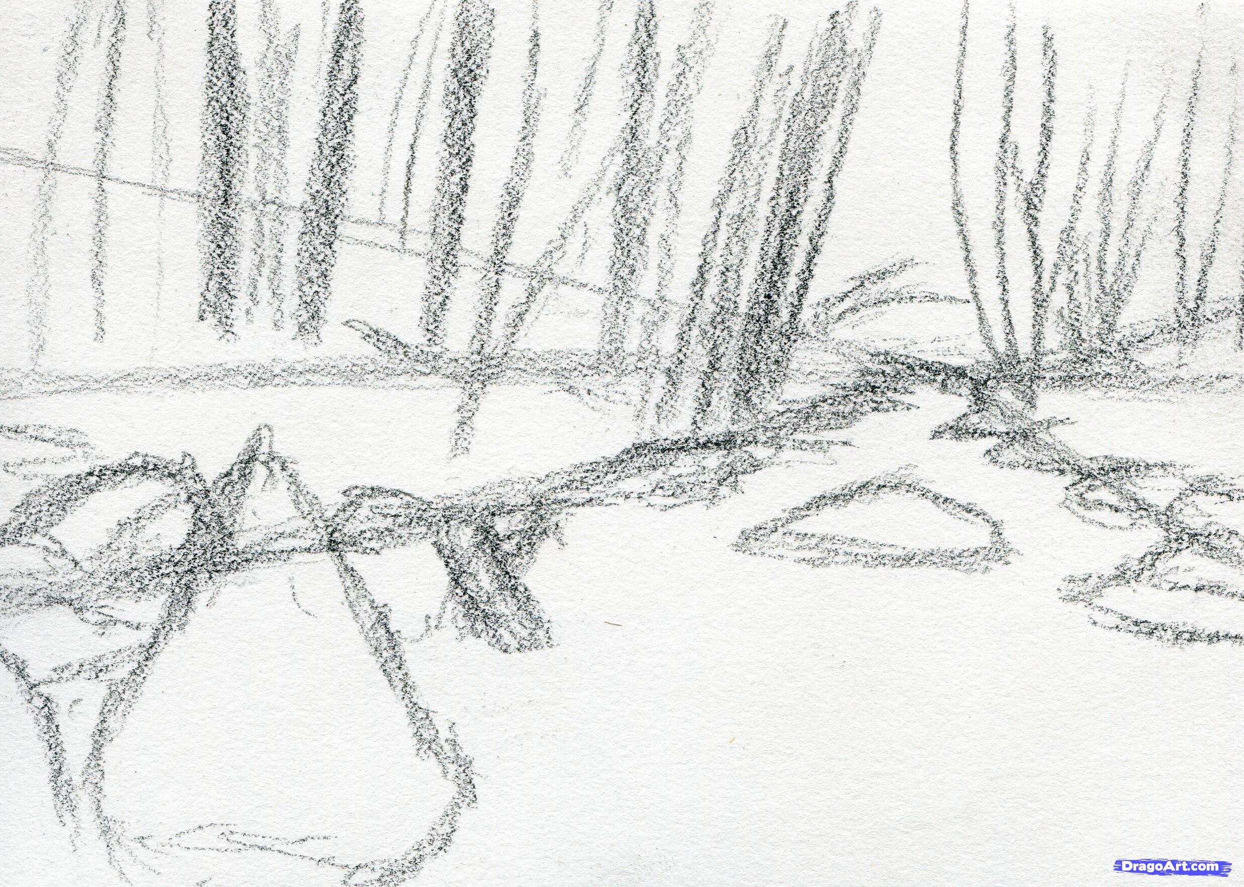 2467x1759 how to draw a stream, step - Water Stream Drawing