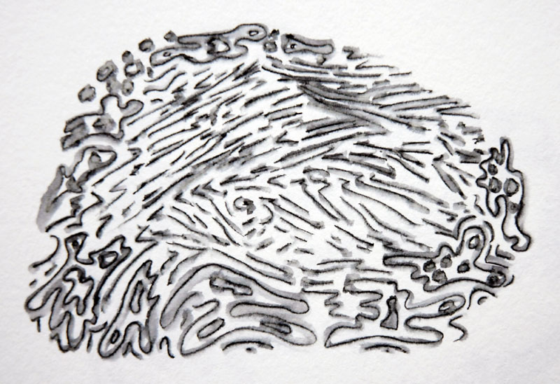 800x548 texture drawing observational for free download - Water Texture Drawing