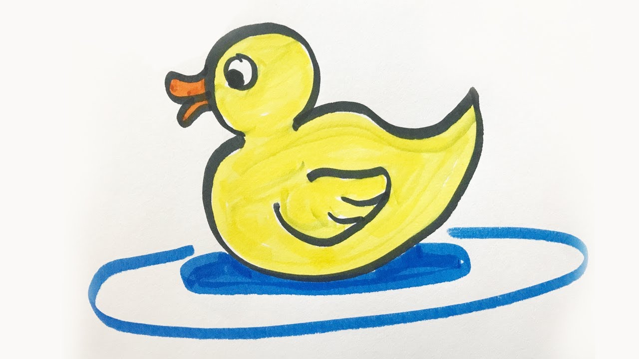 1280x720 how to draw and color a baby duck for kids! - Waterfowl Drawings