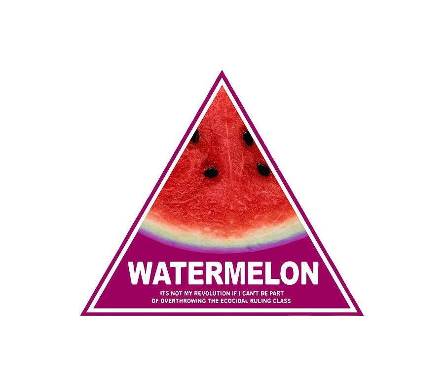 900x782 watermelon drawing - Watermelon Drawing