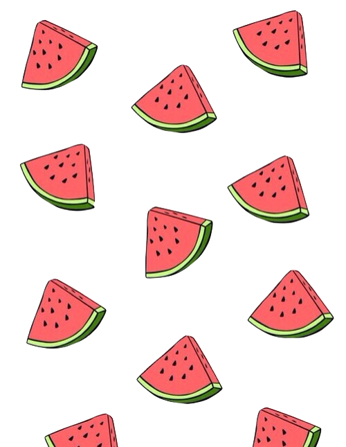 500x645 watermelon drawing shared - Watermelon Drawing