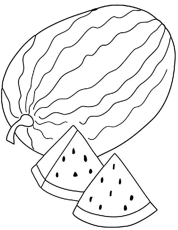 600x776 watermelon clipart line drawing - Watermelon Line Drawing
