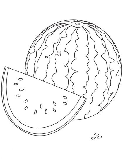 420x542 watermelon coloring - Watermelon Line Drawing
