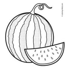 230x230 amazing idea coloring pages watermelon line drawing at getdrawings - Watermelon Line Drawing