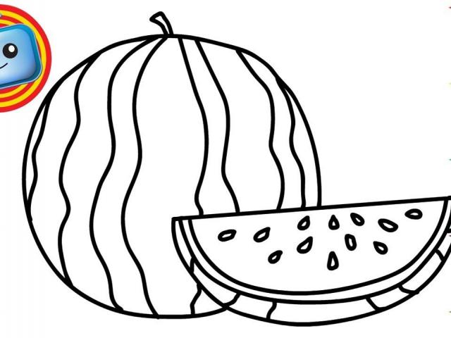 640x480 drawn watermelon line drawing - Watermelon Line Drawing