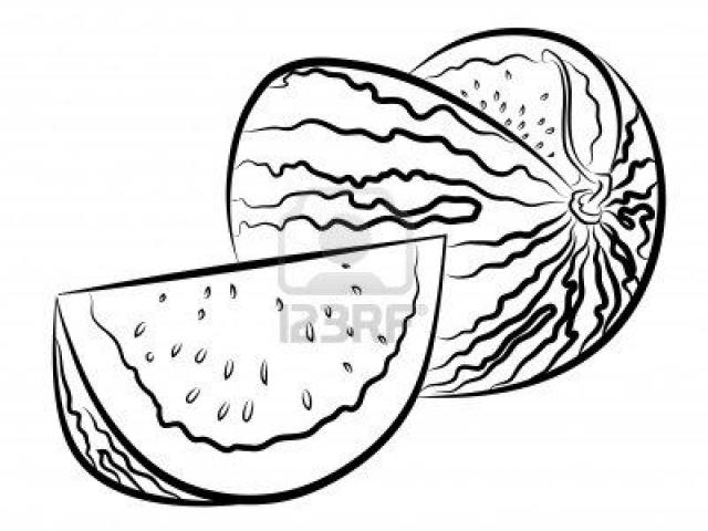 640x480 drawn watermelon line drawing - Watermelon Line Drawing
