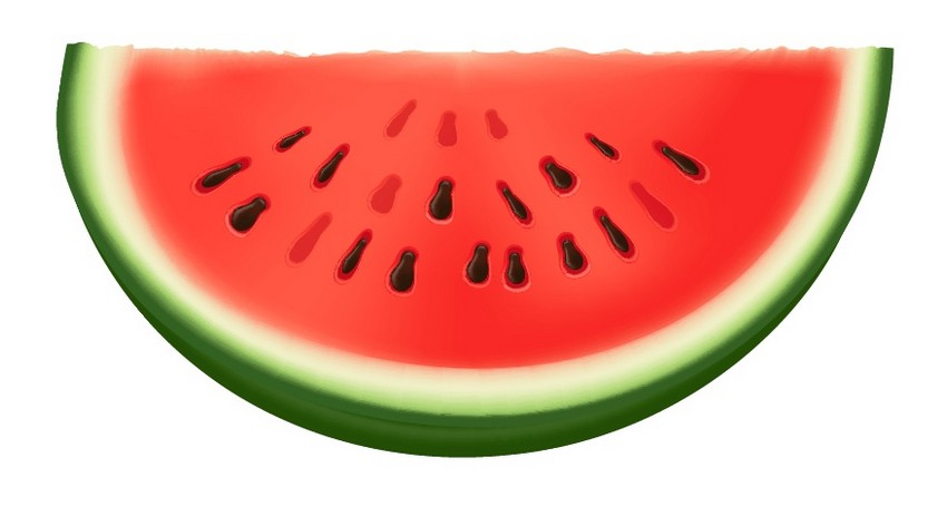 850x463 how to draw a watermelon and a glass of juice in adobe illustrator - Watermelon Slice Drawing