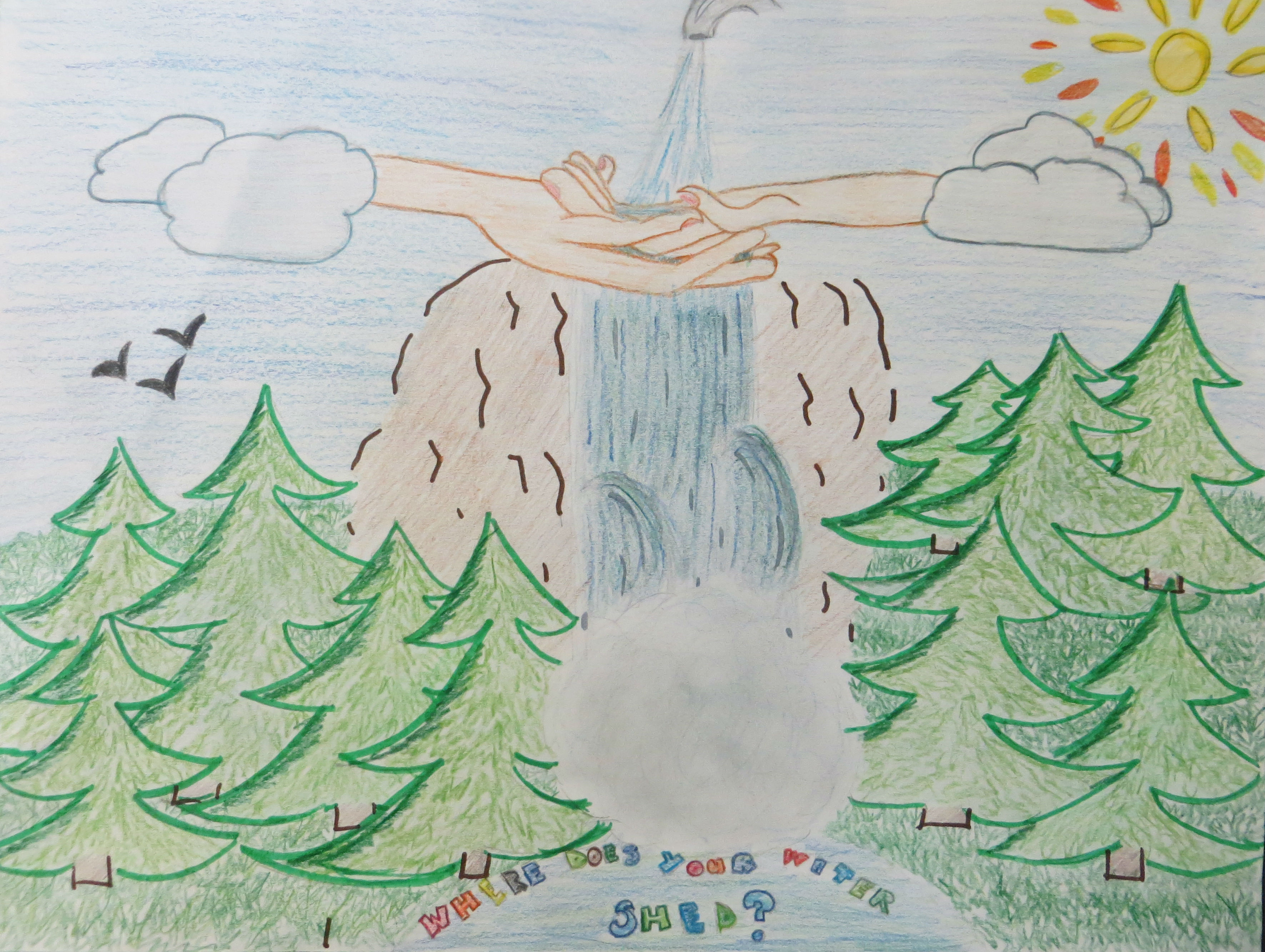 Рисунок лес, чистый воздух и здоровый ребёнок