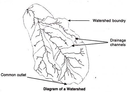 443x322 watershed management meaning, types, st and programmes - Watershed Drawing