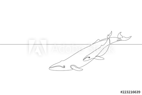 500x334 Single Continuous Line Art Marine Whale Parent Baby Silhouette - Wave Outline Drawing