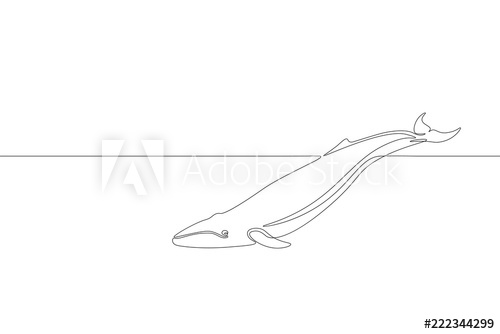 500x334 Single Continuous Line Art Marine Whale Swim Silhouette Nature - Wave Outline Drawing