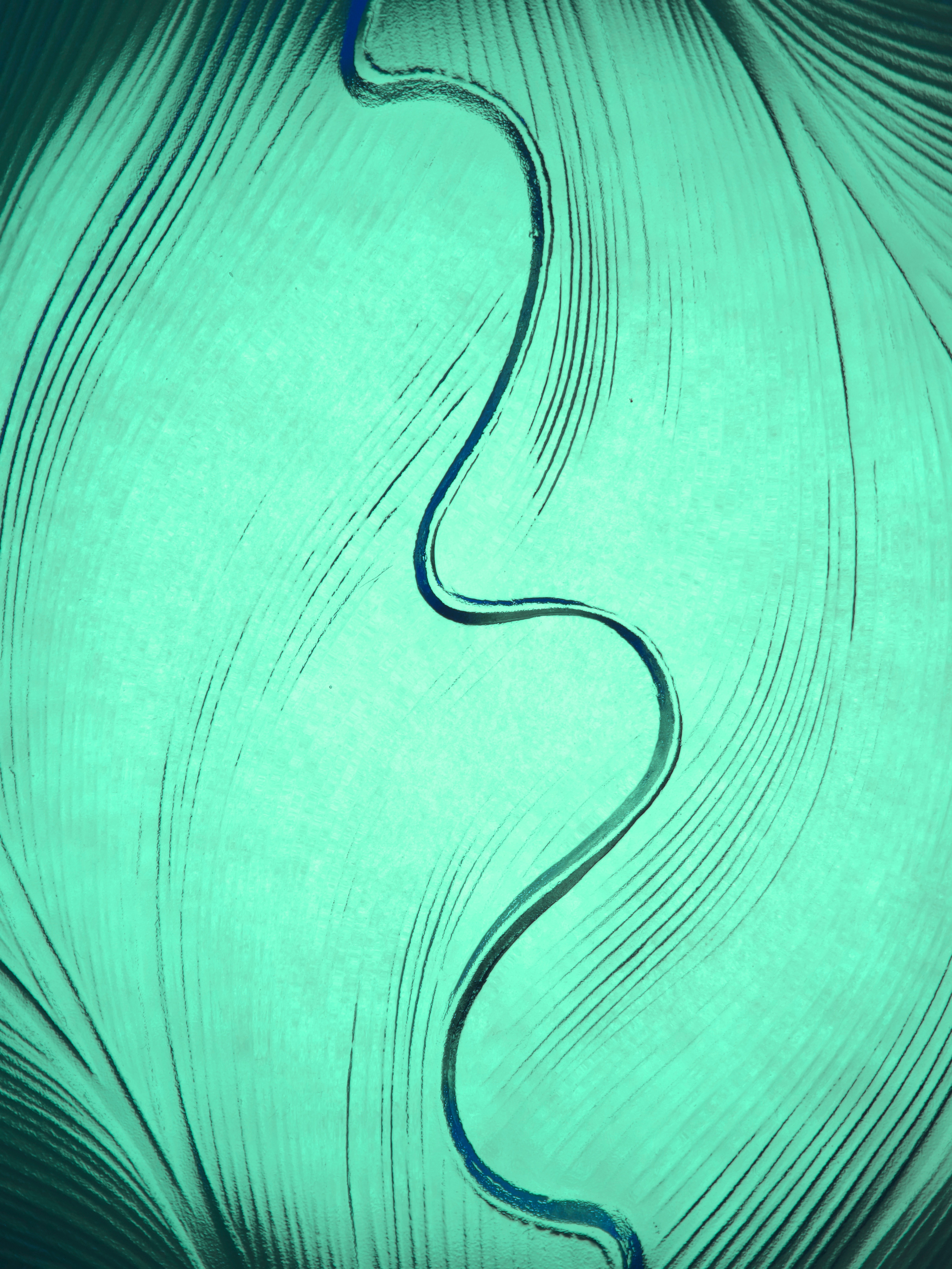 3888x5184 Free Images Wing, Wave, Pattern, Line, Green, Blue, Circle - Wave Pattern Drawing