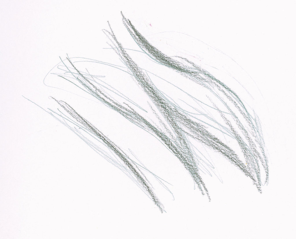 1024x828 Drawing Hair For Beginners Graphite And Colored Pencil Techniques - Wavy Hair Drawing