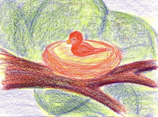 604x447 bird in nest inspired - Wax Drawing