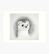 210x230 Weasel Drawing Art Prints Redbubble - Weasel Drawing
