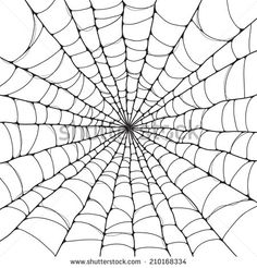 236x246 Spiderweb Drawing - Web Drawing