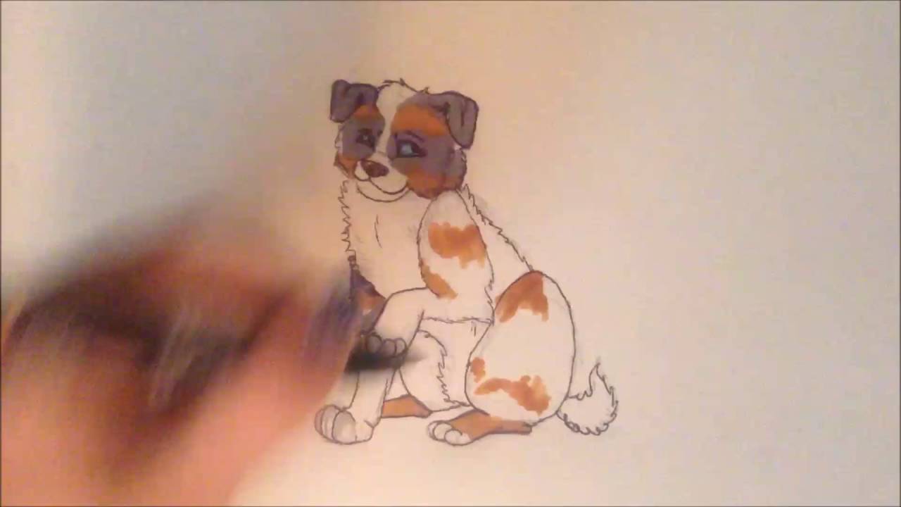 1280x720 Webkinz Signature Australian Sheperd Speed Draw - Webkinz Drawings