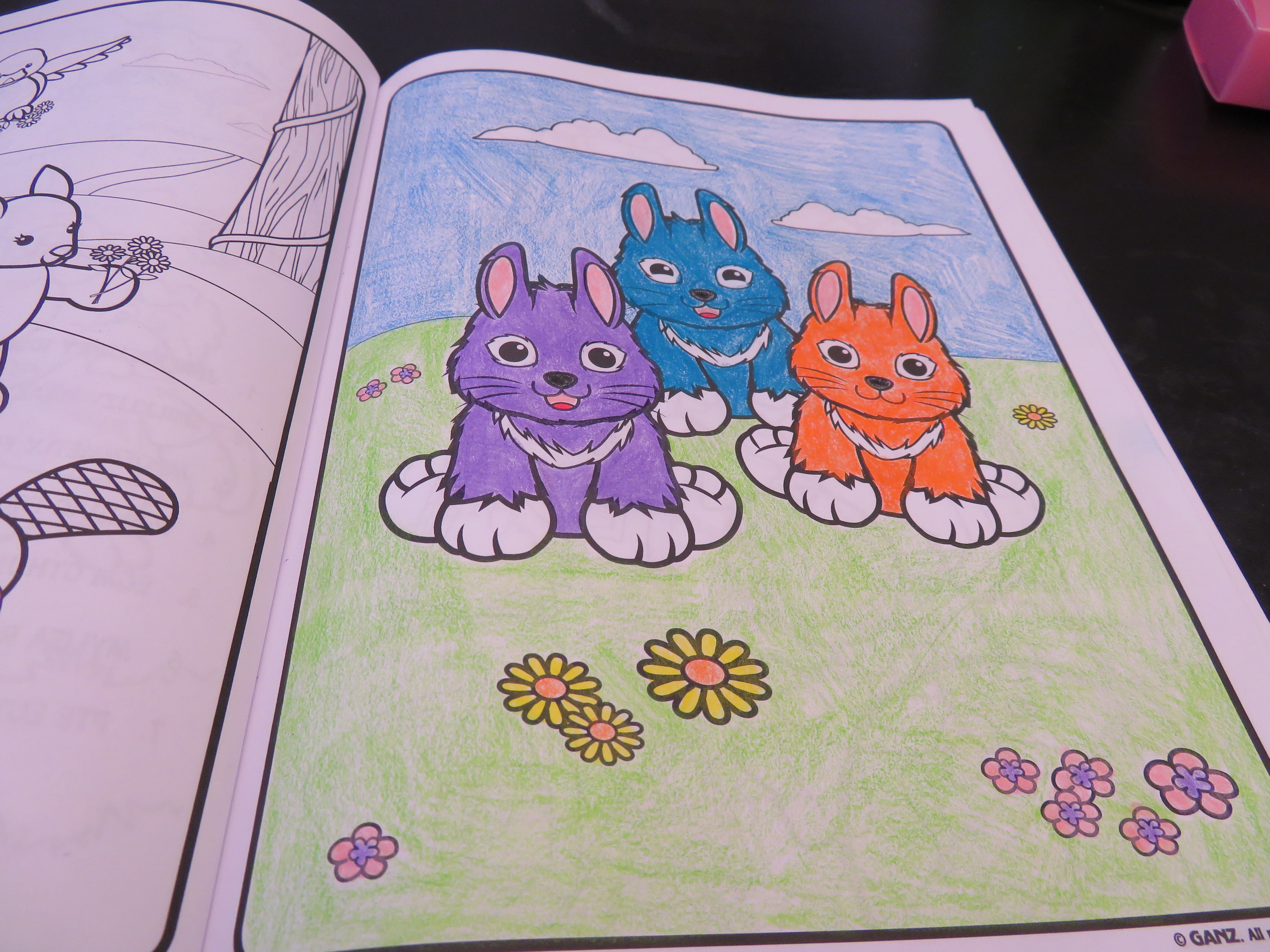 5184x3888 Draw Crazy Webkinz - Webkinz Drawings