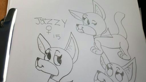 512x288 Drawings Shared Folder Webkinz Lovers!! Amino - Webkinz Drawings