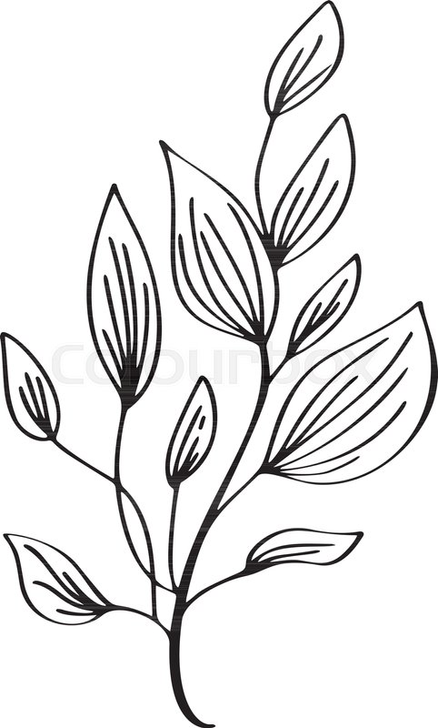 482x800 Hand Drawn Modern Flowers Drawing And Stock Vector Colourbox - Wedding Flowers Drawing