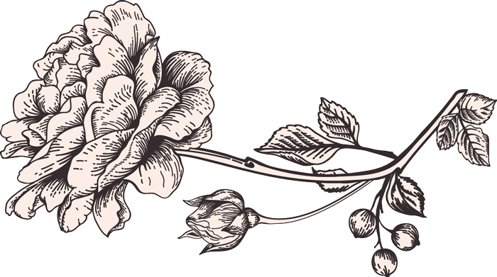 700x391 Wedding Flowers - Wedding Flowers Drawing