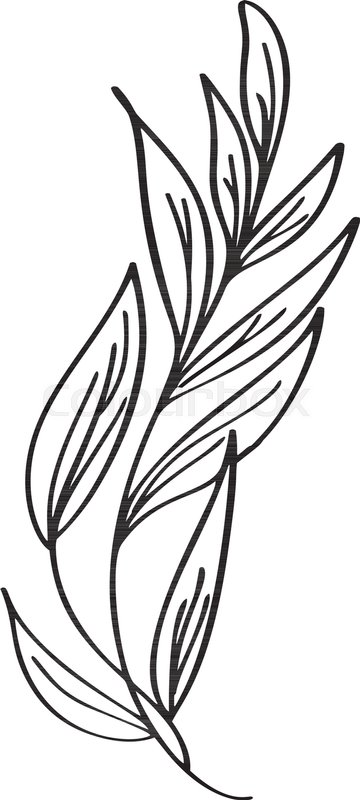 360x800 Hand Drawn Modern Flowers Drawing And Stock Vector Colourbox - Wedding Line Drawing