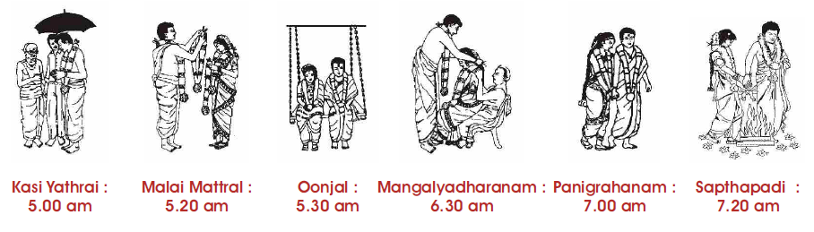 908x259 timeline of south indian wedding events with line drawing south - Wedding Line Drawing