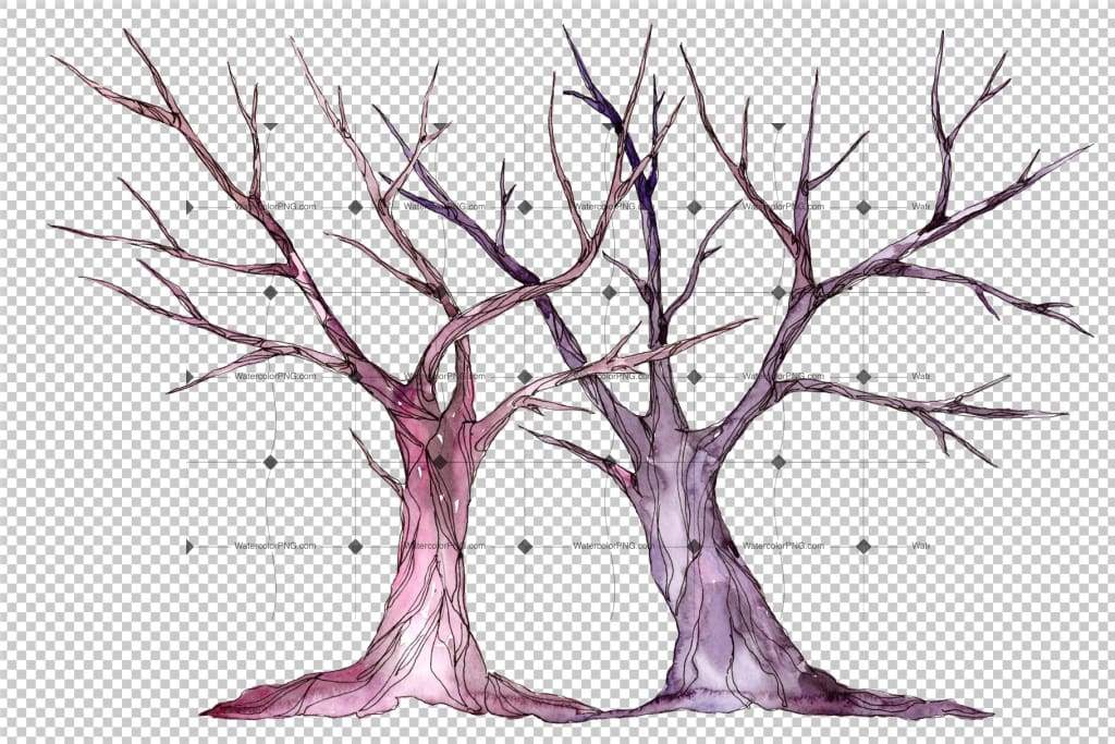 1024x683 Watercolorpng - Wedding Tree Drawing
