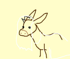 300x250 a donkey wearing a wedding veil drawing - Wedding Veil Drawing