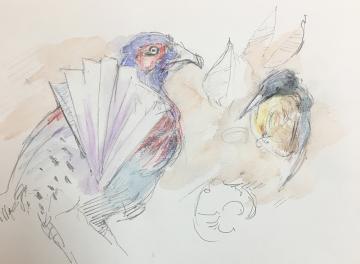 360x264 ruskin drawing weekend oxford university museum of natural - Weekend Drawinging