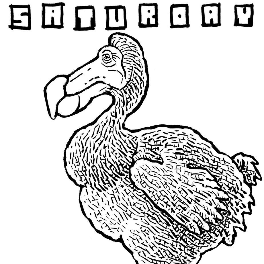 921x921 weekends boring is best calamityware - Weekend Drawinging