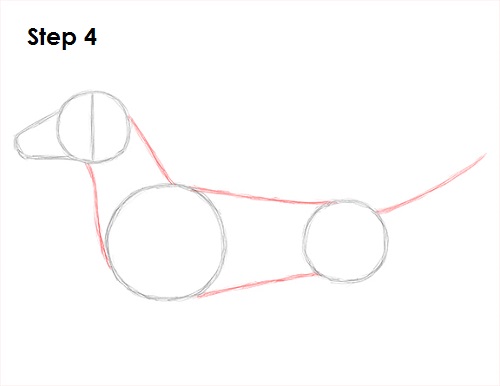 500x386 how to draw a dog - Weenie Dog Drawing