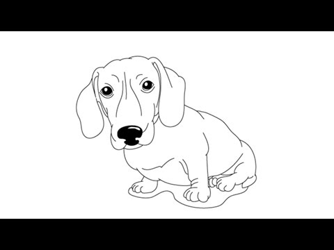 480x360 how to draw a daschund - Weenie Dog Drawing