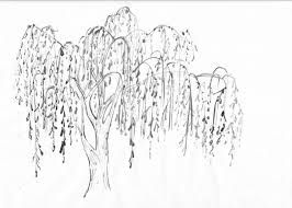 266x190 image result for simple weeping willow drawing modern art - Weeping Willow Drawing