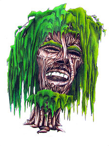 225x300 Weeping Marley Drawing - Weeping Willow Drawing